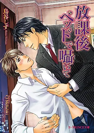 Cover image for the novel called Houkago Bed de Sasayaite
