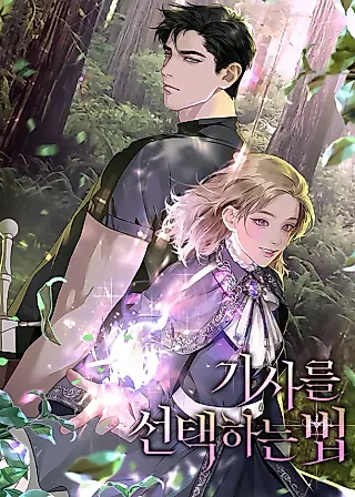 Cover image for the novel called How to Choose Your Knight