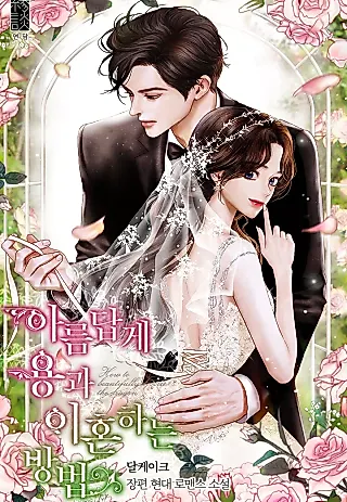 Cover image for the novel called How to Divorce a Dragon