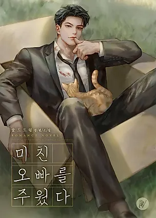 Cover image for the novel called I Picked Up a Crazy Oppa