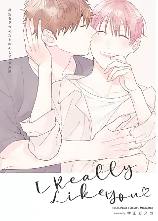 Cover image for the manga called I Really Like You: After We Gazed at the Starry Sky Bangai-hen