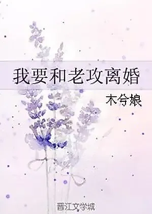 Cover image for the novel called I Want to Divorce My Hubby