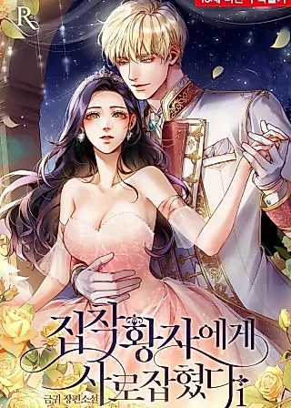 Cover image for the novel called I was Captured by the Obsessive Prince