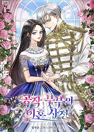 Cover image for the novel called I Will Divorce the Duke