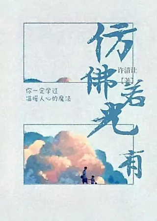 Cover image for the novel called It Seems There is Light