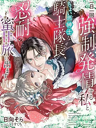 Cover image for the novel called Ichinichi Ichikai Kyousei Hatsujou Suru Watashi to Choi Aku Shinshi na Kishi Taichou, Nintai no Mitsu Ama Tabi ni Demasu