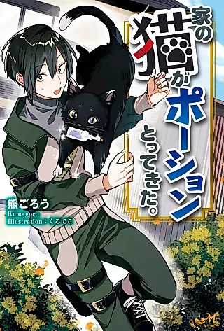 Cover image for the novel called Ie no Neko ga Potion Totte Kita.