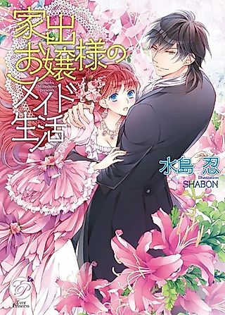 Cover image for the novel called Iede Ojousama no Maid Seikatsu