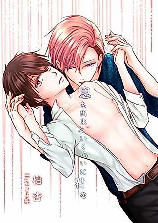 Cover image for the novel called Iki mo Dekinai Kurai ni Kimi wo