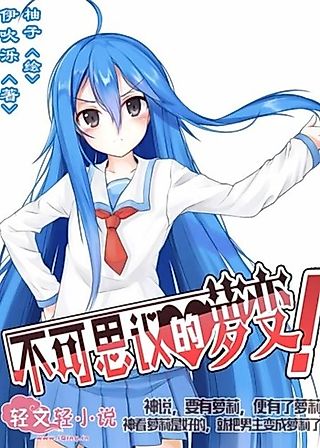 Cover image for the novel called Incredible Loli Change