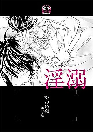 Cover image for the novel called Indeki