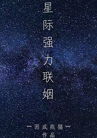 Cover image for the novel called Interstellar Power Couple