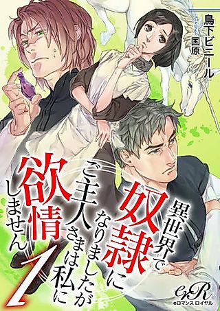 Cover image for the novel called Isekai de Dorei ni Narimashita ga Goshujin-sama wa Watashi ni Yokujou Shimasen