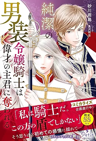 Cover image for the novel called Junketsu no Dansou Reijou Kishi wa Isai no Shukun ni Ubawareru