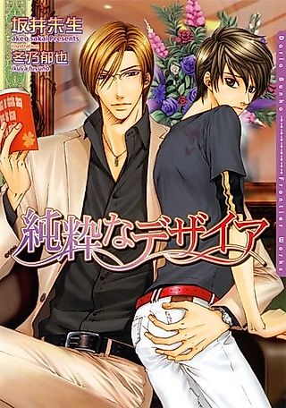 Cover image for the novel called Junsuina Desire