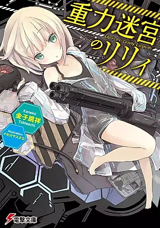Cover image for the novel called Lily in the Gravity Labyrinth