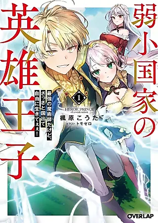 Cover image for the novel called Heroic Prince of a Weak Nation