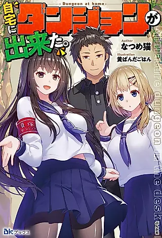 Cover image for the novel called Miniature Dungeon in the Desk