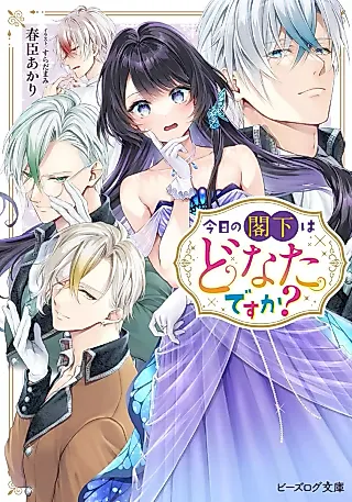 Cover image for the novel called Kyou no Kakka wa Donata desu ka?