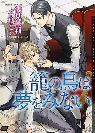 Cover image for the novel called Kago no Tori wa Yume wo Minai