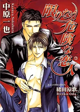 Cover image for the novel called Kagirinaku Kiken na Aitsu