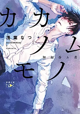 Cover image for the novel called Kakanomumono