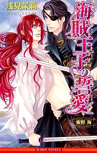 Cover image for the novel called Kaizoku Ouji no Chikai Ai