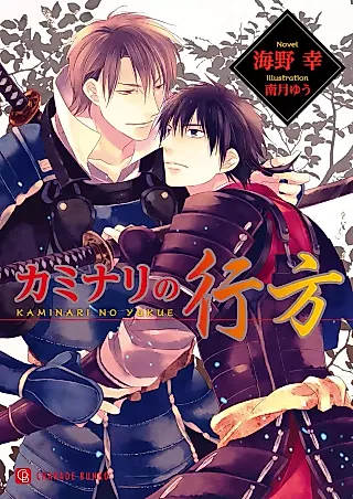 Cover image for the novel called Kaminari no Yukue