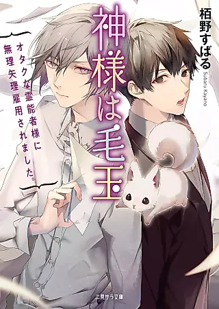 Cover image for the novel called Kamisama wa Kedama
