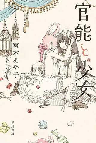 Cover image for the novel called Kannou to Shoujo