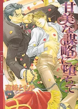 Cover image for the novel called Kanbina Bouryaku ni Ochite