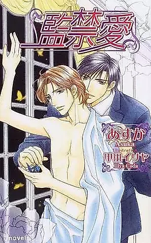Cover image for the novel called Kankin Ai