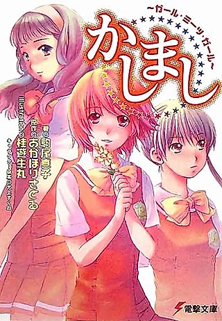 Cover image for the novel called Kashimashi: Girl Meets Girl