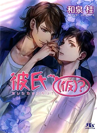 Cover image for the novel called Kareshi (Kari)?