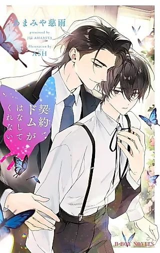 Cover image for the novel called Keiyaku Dom ga Hanashite Kurenai