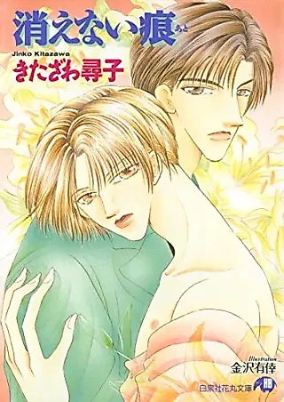 Cover image for the novel called Kienai Ato