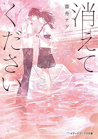 Cover image for the novel called Kiete Kudasai