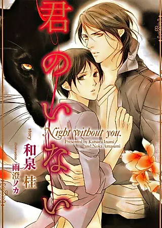Cover image for the novel called Kii no Inai Yoru