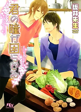 Cover image for the novel called Kimi no Hitomi ga Komara Seru