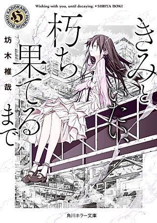Cover image for the novel called Until Decaying