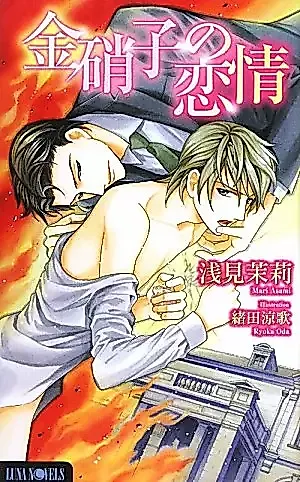 Cover image for the novel called Kin Garasu no Renjo