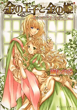 Cover image for the novel called Kin no Ouji Series