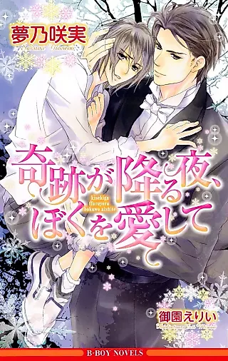 Cover image for the novel called Kiseki ga Furu Yoru, Boku wo Aishite