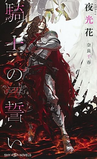 Cover image for the novel called Kishi no Chikai