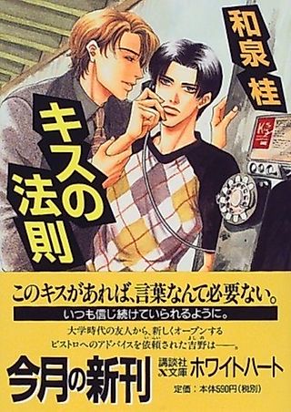 Cover image for the novel called Kiss no Housoku