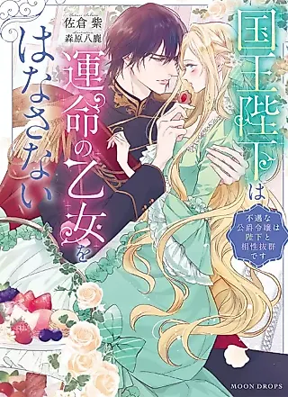 Cover image for the novel called Kokuou Heika wa Unmei no Otome wo Hanasanai: Fuguu na Koushaku Reijou wa Heika to Aishou Batsugun desu