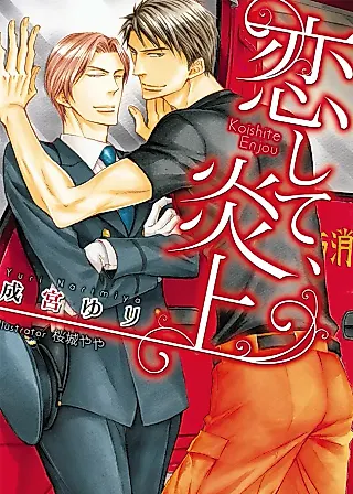 Cover image for the novel called In Love and On Fire