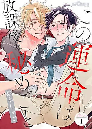 Cover image for the manga called Kono Ummei ha Houkago no Himegoto