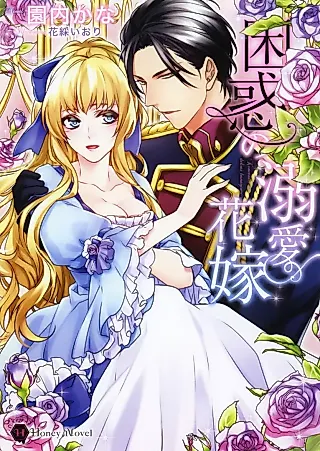 Cover image for the novel called Konwaku no Dekiai Hanayome