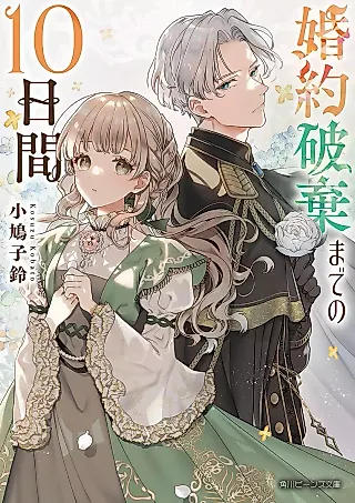 Cover image for the novel called Konyaku Haki made no 10-kakan